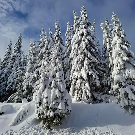 двуспален милена в росица,пампорово Apartament