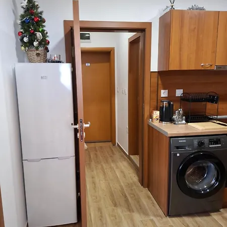 Apartament двуспален милена в росица,пампорово *