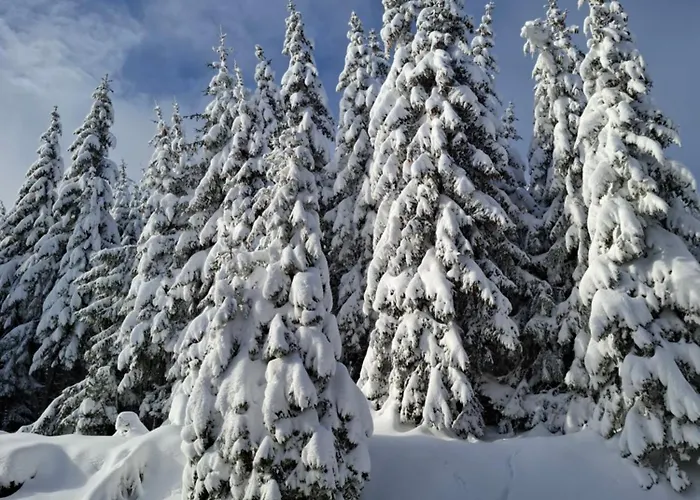 двуспален милена в росица,пампорово Apartment
